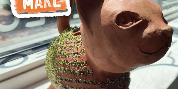 Chia Pet Take + Make Kit at visarts image