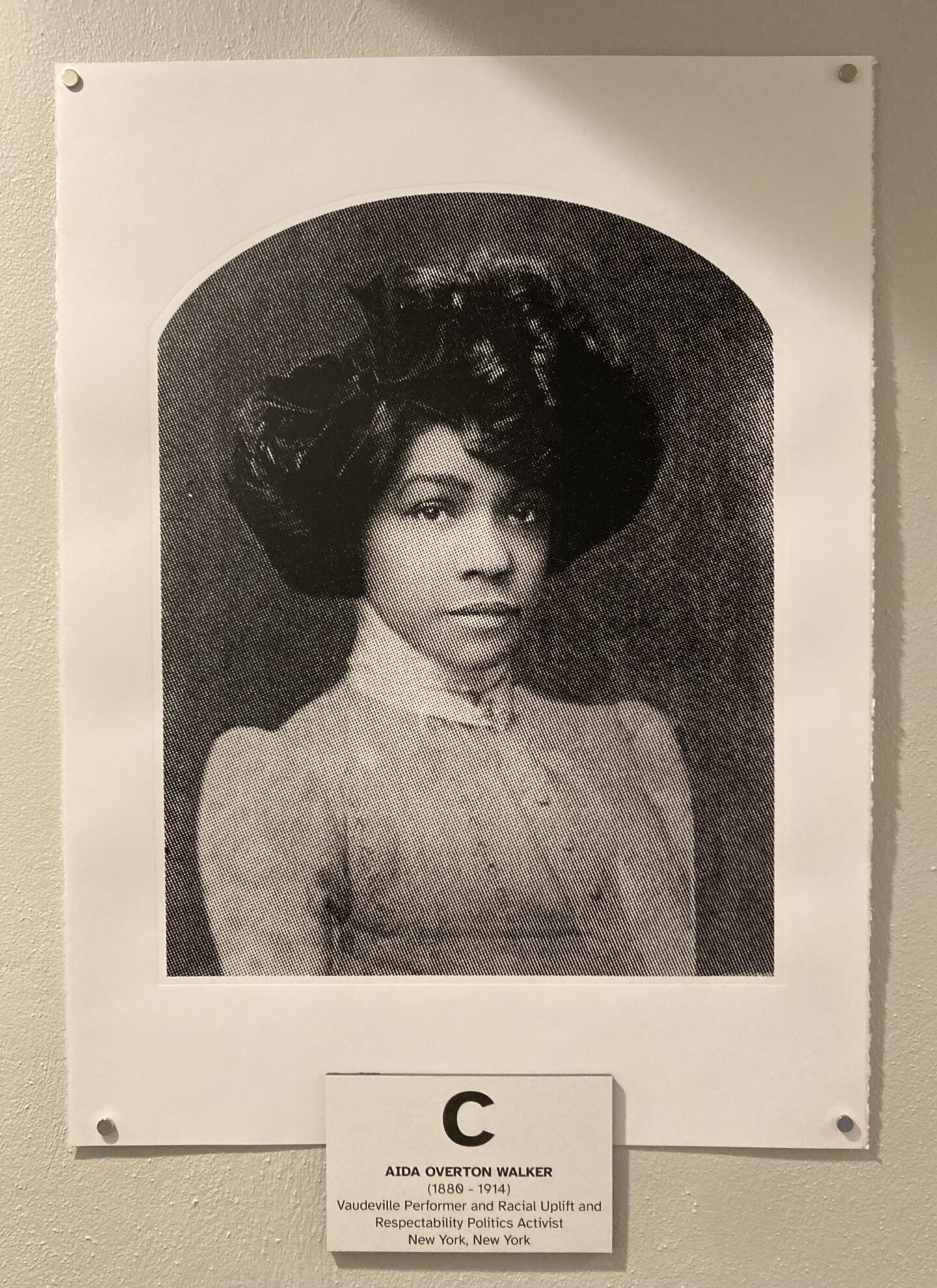 The thirteen women behind Veronica Jackson's 
